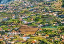 Road trip dans le Douro : itinéraire de 4 jours (2026)